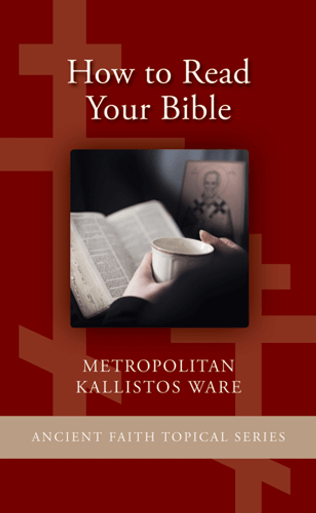 How To Read Your Bible