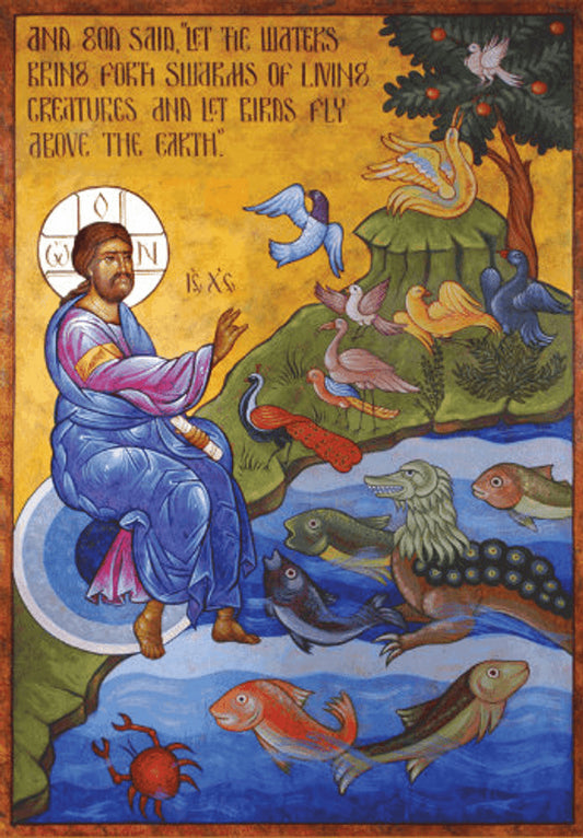 Creation of Birds & Sea Creatures