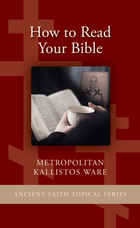 How To Read Your Bible